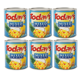 TODAYS MIXED FRUIT (3033G) 2.9L