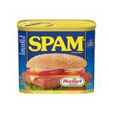 SPAM REG LUNCHEON MEAT 340G