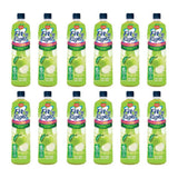 DEL MONTE FIT N RIGHT CLASSIC GREEN APPLE 1L