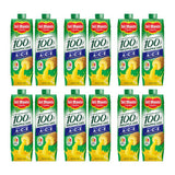DEL MONTE JUICE PINEAPPLE W ACE 1L TWINPACK