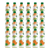 SMART C DALANDAN 500ML