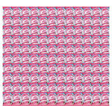 CALLA DET PWD FABCON ROSE GARDEN 100G