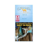 CAMEL CIGAR BLUE LIGHTS FTP 20S