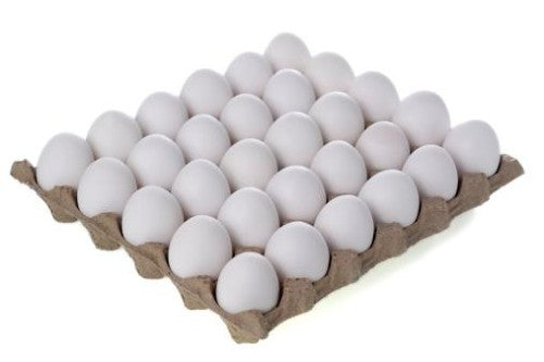 EGG EXTRA LARGE TRAY