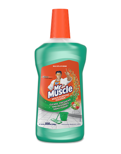 MR MUSCLE ALL PURPOSE CLEANER MORNING FRESHNESS 500ML