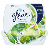 GLADE SCENTED GEL